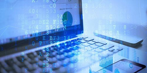 软件开发培训 从入门到职业发展的完整指南